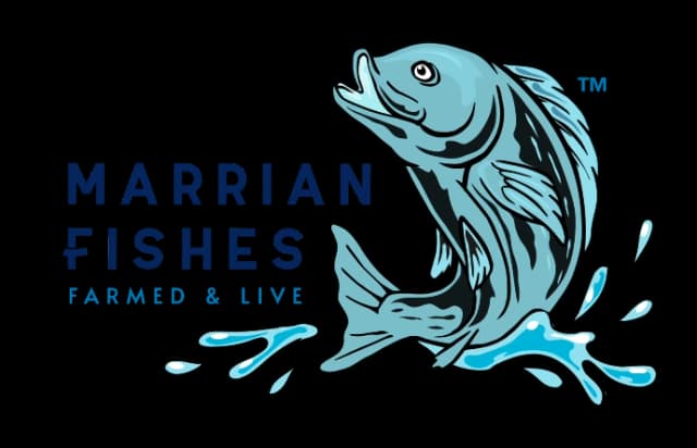 Marrian Fishes logo