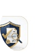 Shield and document review representing legal due diligence