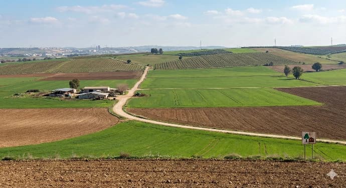 Aerial view of rolling agricultural fields and rural landscape