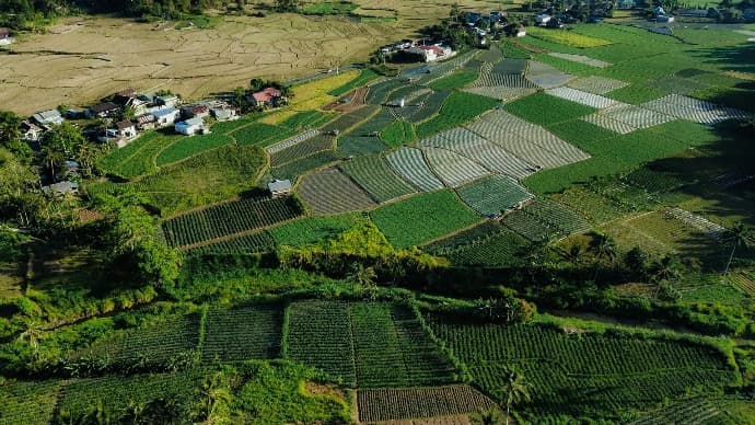 Rolling green hills and cultivated land at ground level