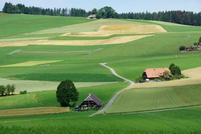 Rolling green hills with winding road and countryside homes